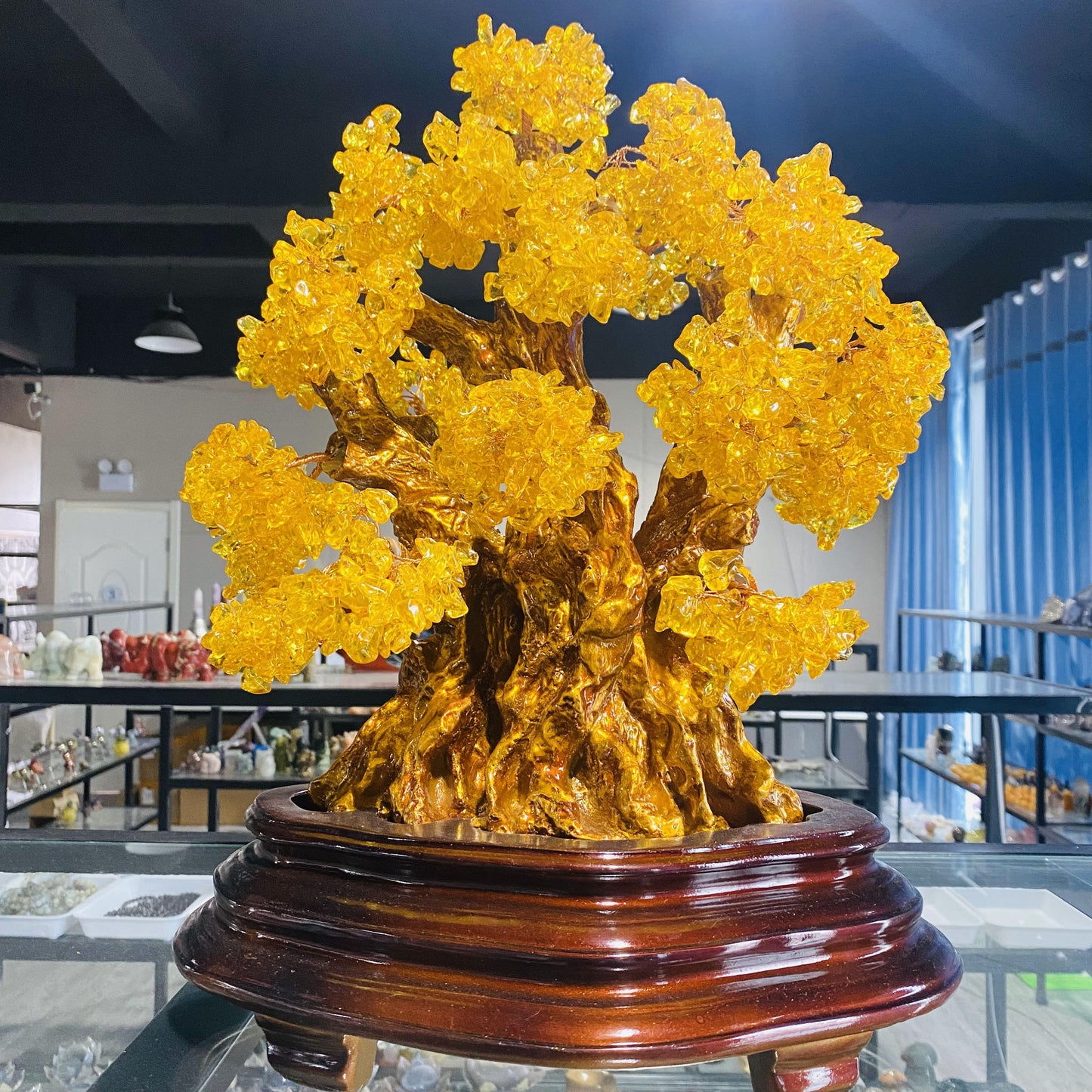(0)Check Out Plant {B} for Allen Crystal